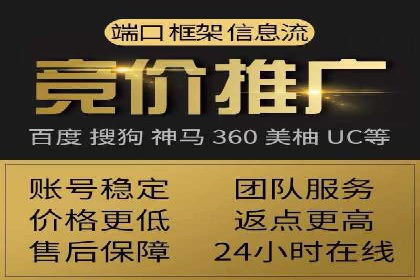 Sem优化公司案例：精准广告投放策略解析